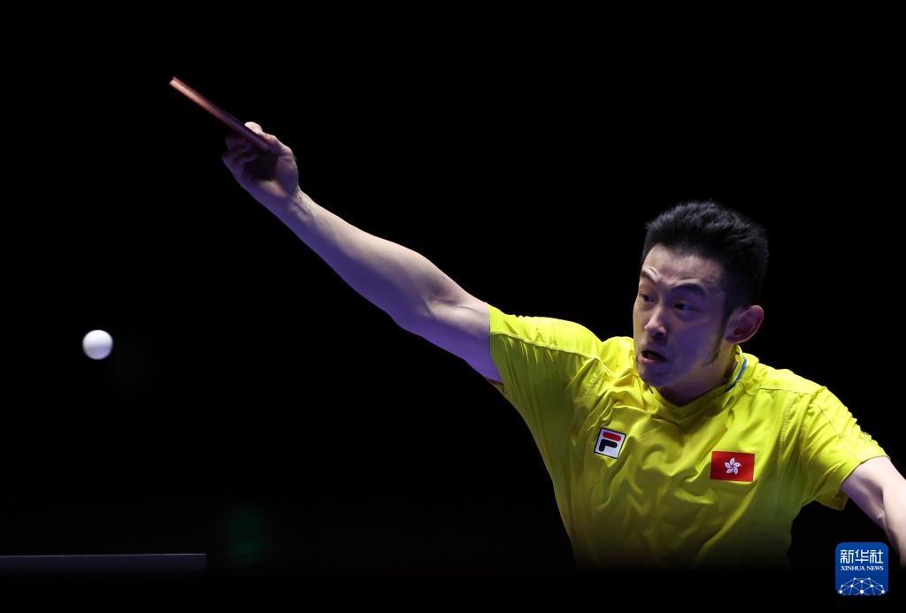 球球迷的关 球球迷的关