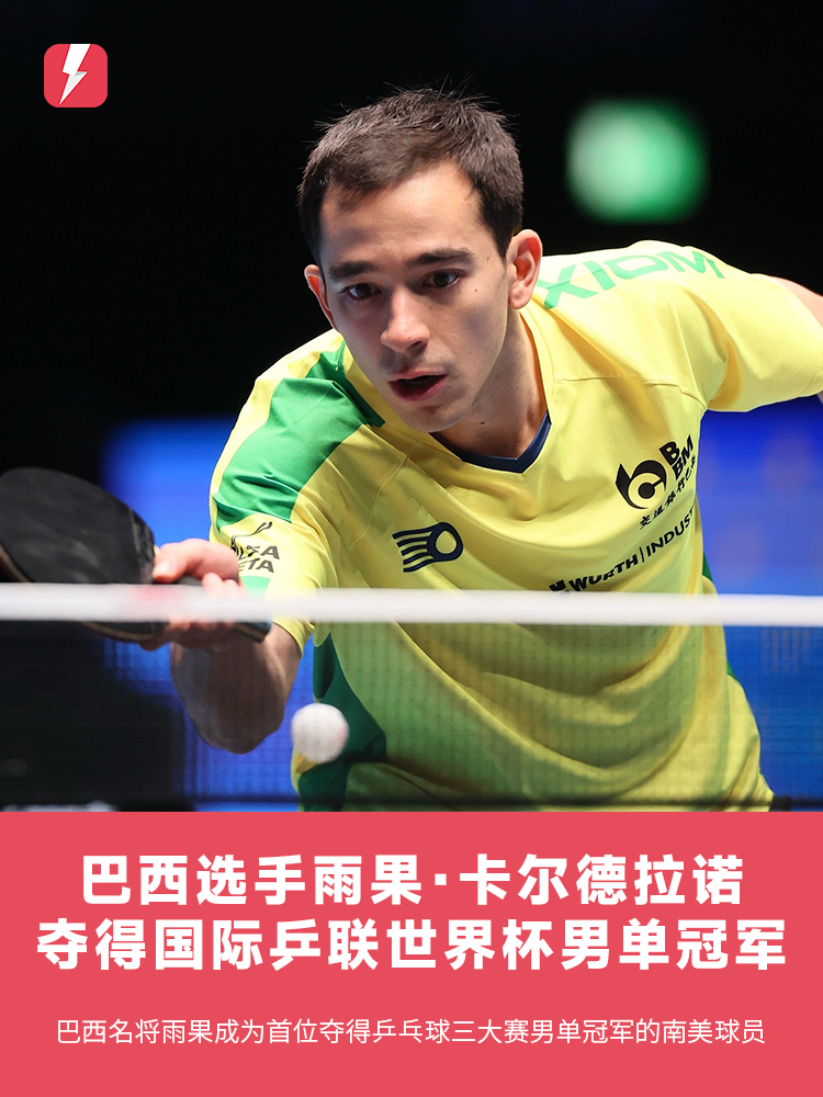 引擎优化的 引擎优化的