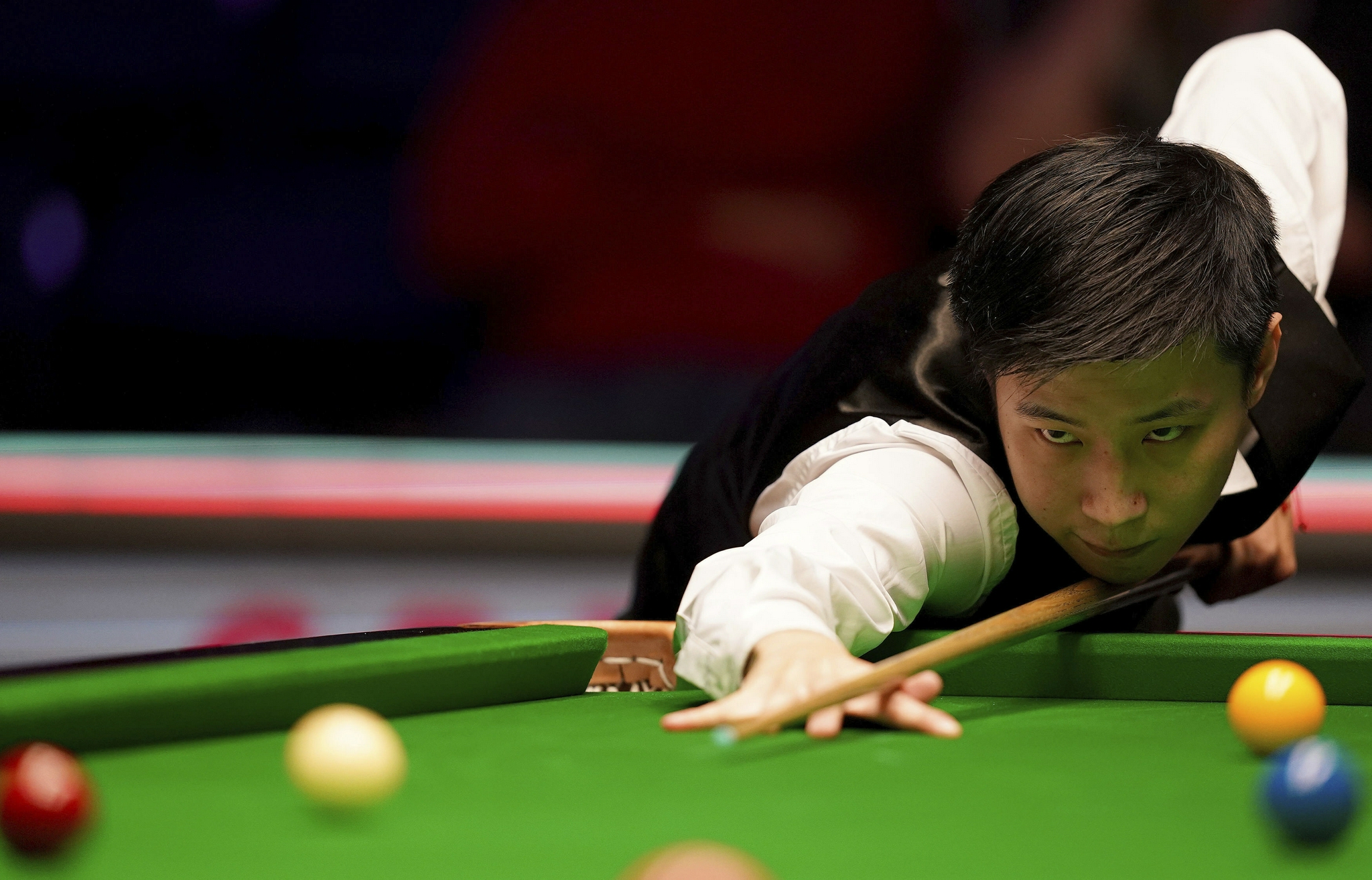 花赢得了宝 花赢得了宝